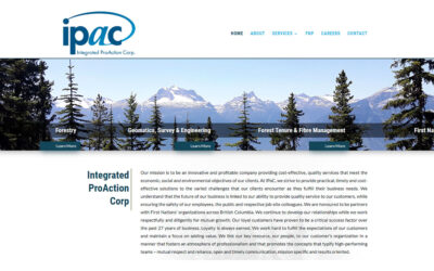 We Build Organized Websites for SEO and Readability