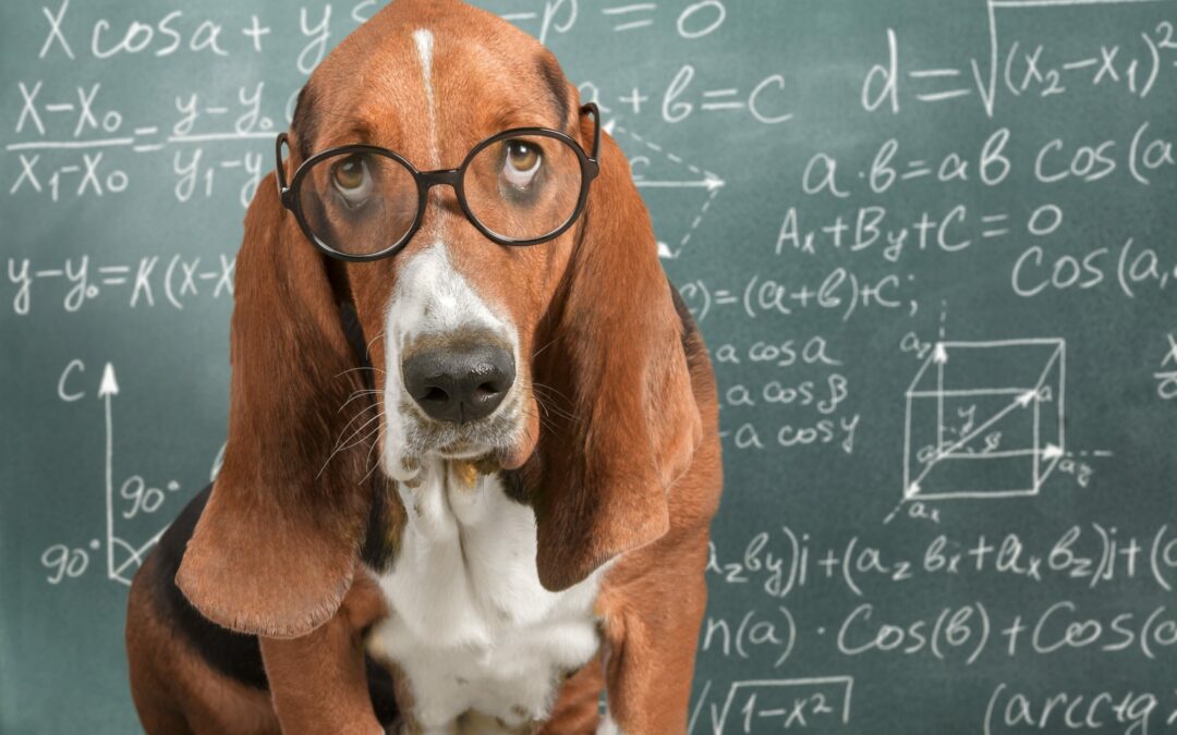 person doing math hard frustrated