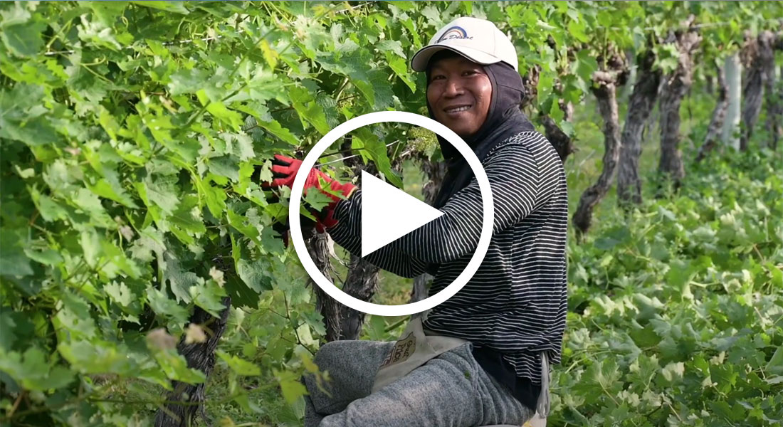 River Stone Estate Winery