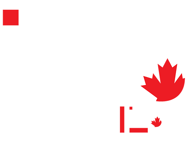 iNFOnews iMM Logo Combined White